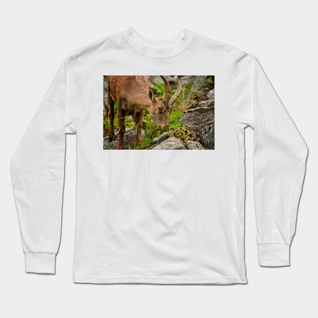 Ibex Long Sleeve T-Shirt by jaydee1400